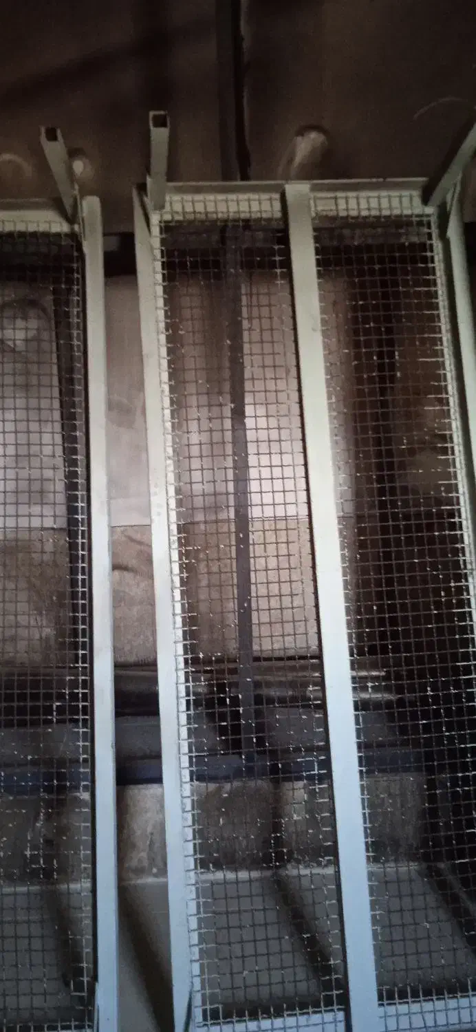 دو عدد تخت خواب با تشک دونفره|تخت و سرویس خواب|بم, |دیوار