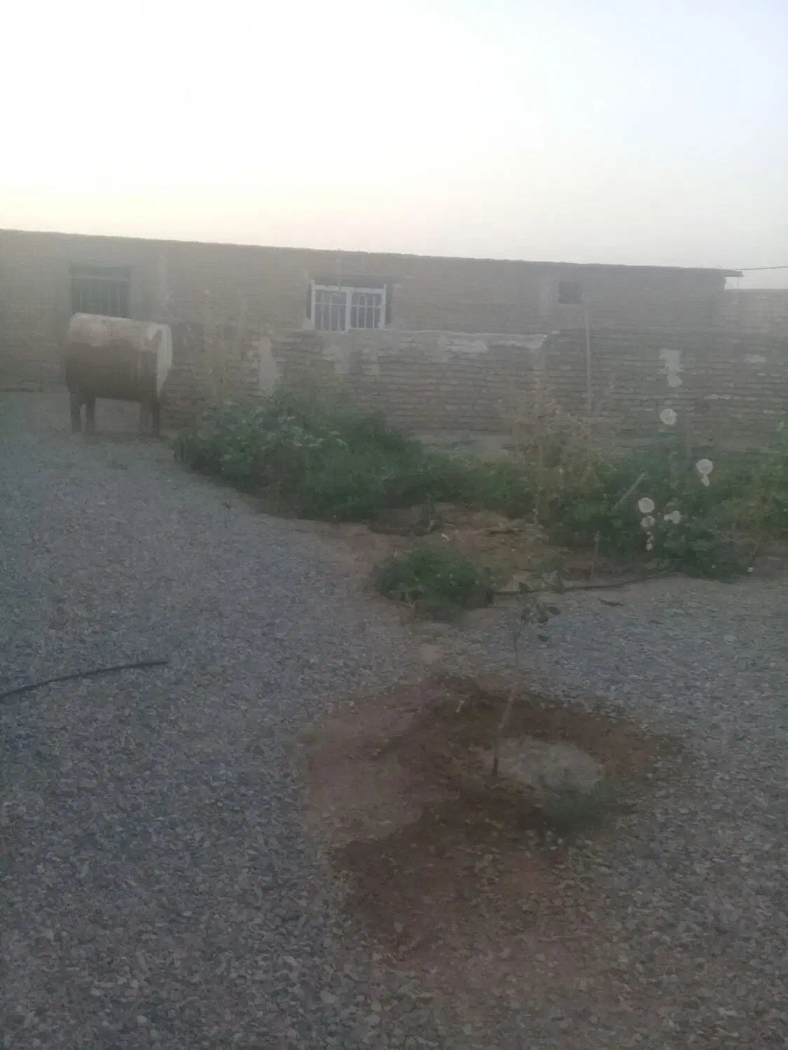 اجاره‌دامداری‌یاانبار‌کاشی‌‌ولوله‌|اجارهٔ دفتر صنعتی، کشاورزی، تجاری|تربت‌حیدریه, پائین ولایت|دیوار