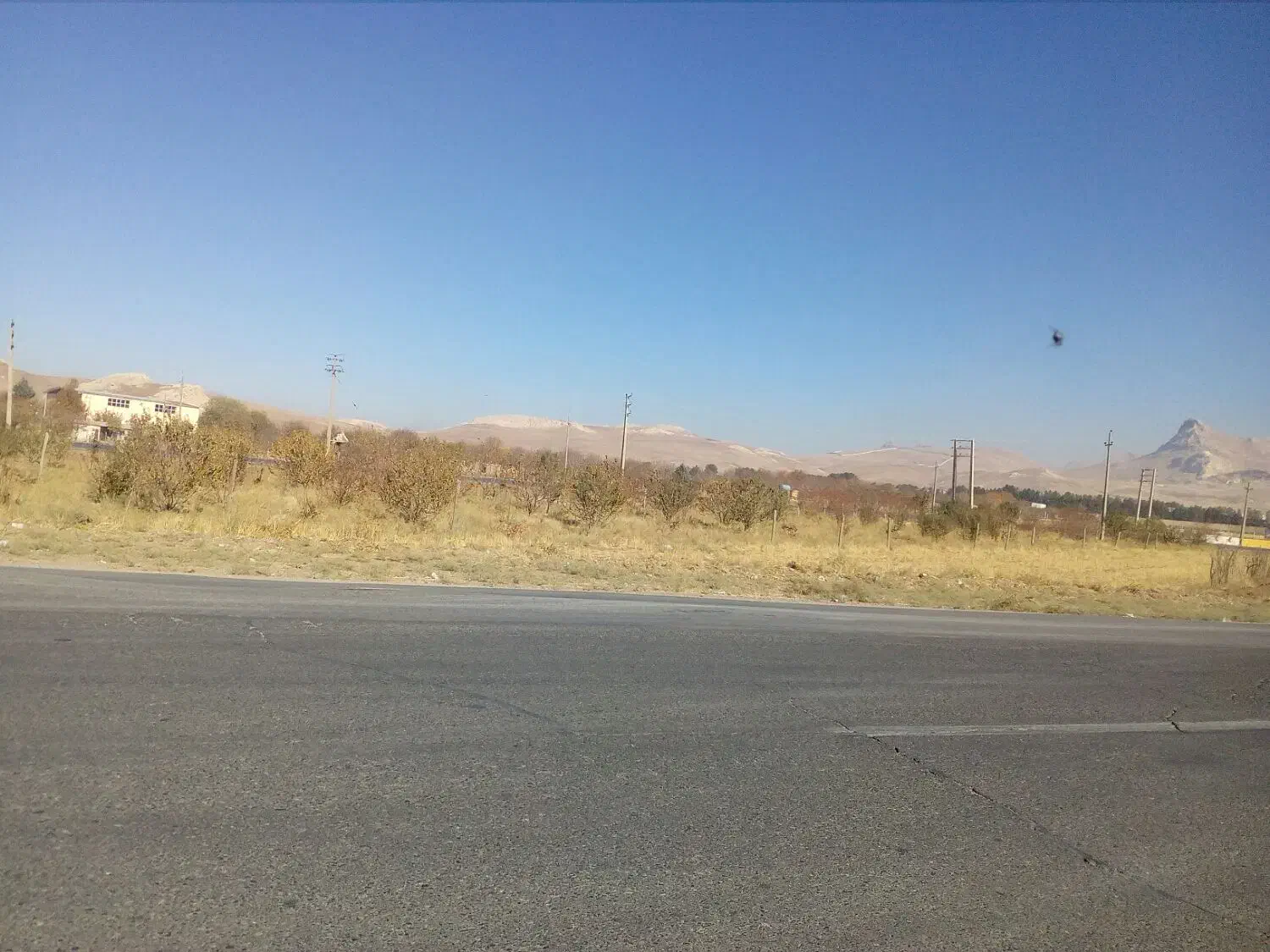 باغ گردو ومیوه پل چهر روبروی باربری نوروزی|فروش دفتر صنعتی، کشاورزی، تجاری|بیستون, |دیوار