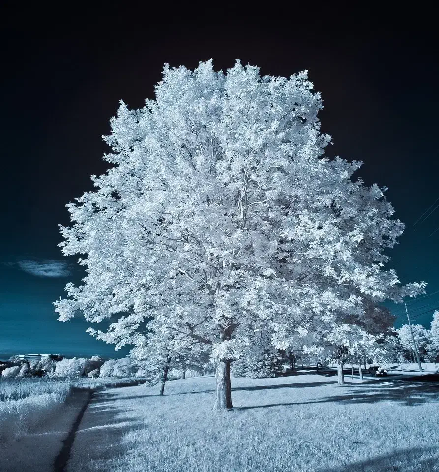 معاوضه خانه دیواندره با سنندج|فروش خانه و ویلا|دیواندره, |دیوار