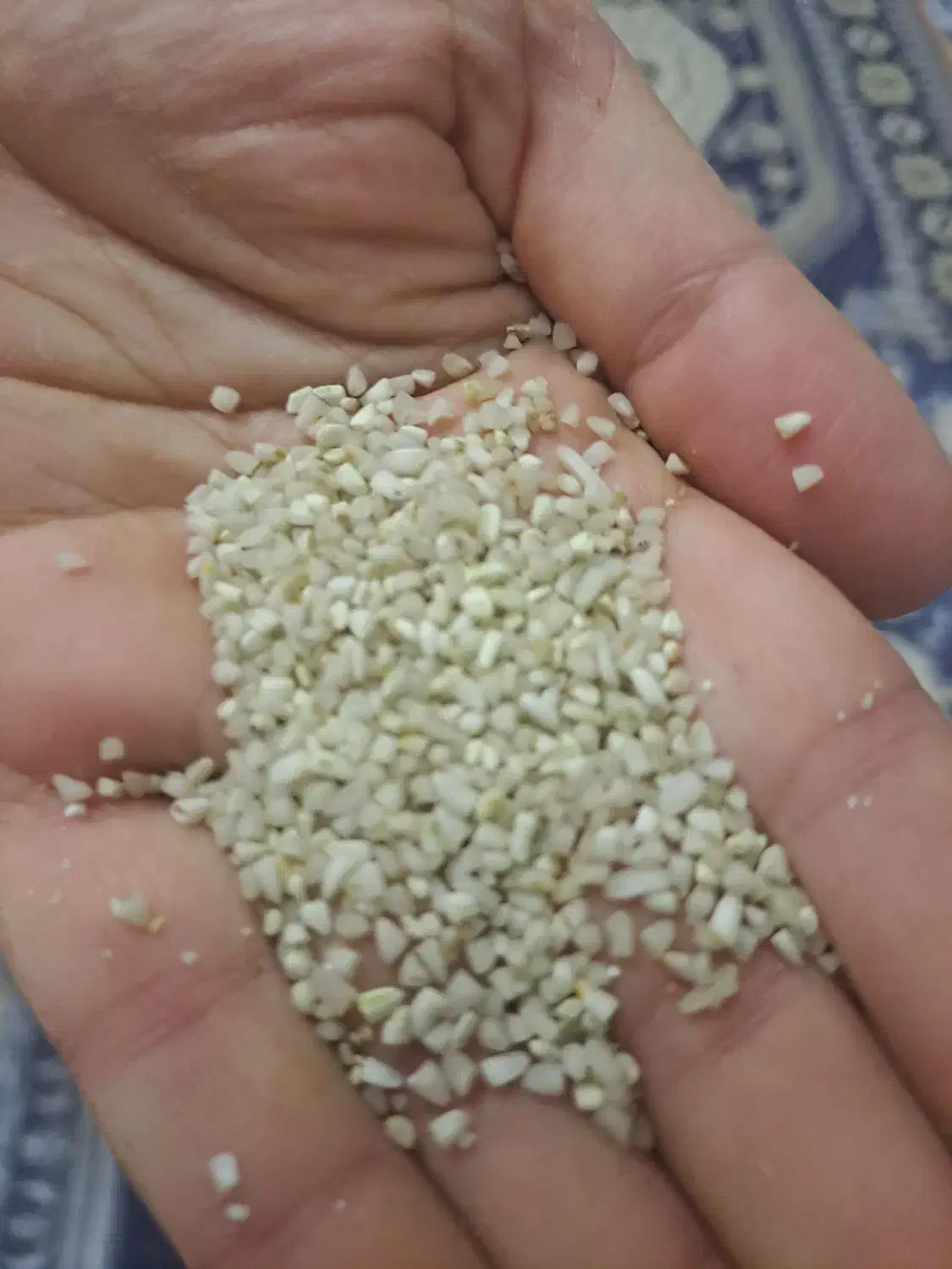 برنج عنبربو شوشتر|خوردنی و آشامیدنی|اردکان, |دیوار