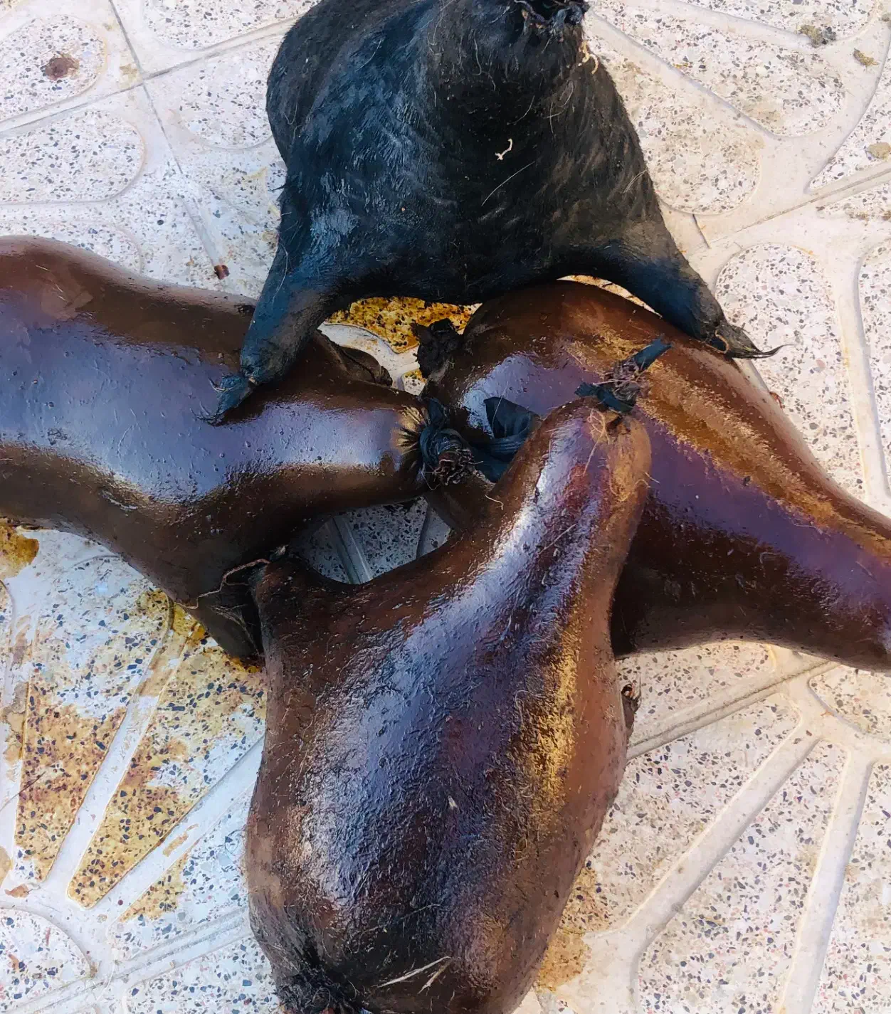 هیزه|حراج|جزمان, |دیوار