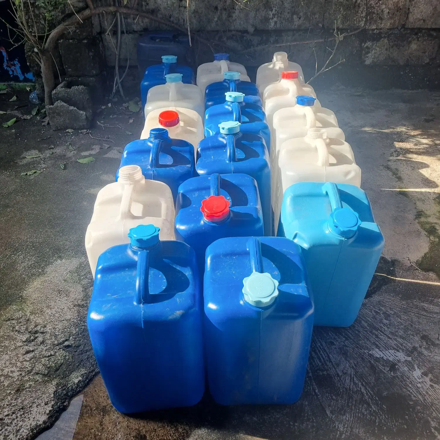 ۱۸عدد ۲۰ ایتزی|ظروف نگهدارنده، پلاستیکی، یک‌بارمصرف|بندر انزلی, زنبق|دیوار