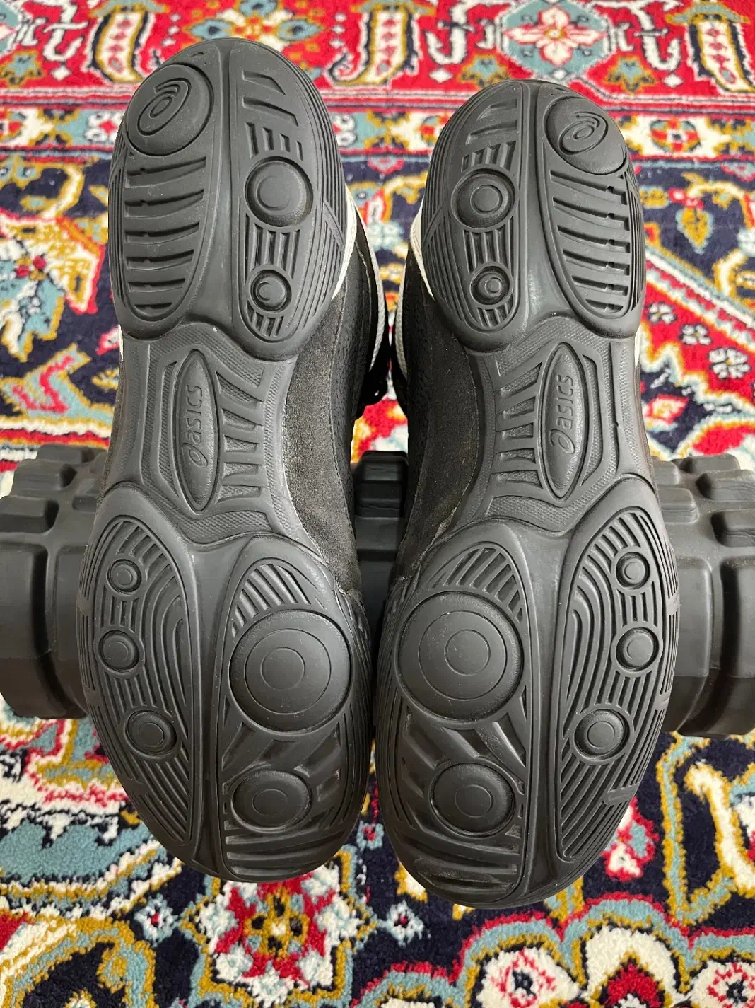 کفش کشتی|تجهیزات ورزشی|رشت, چله خانه|دیوار