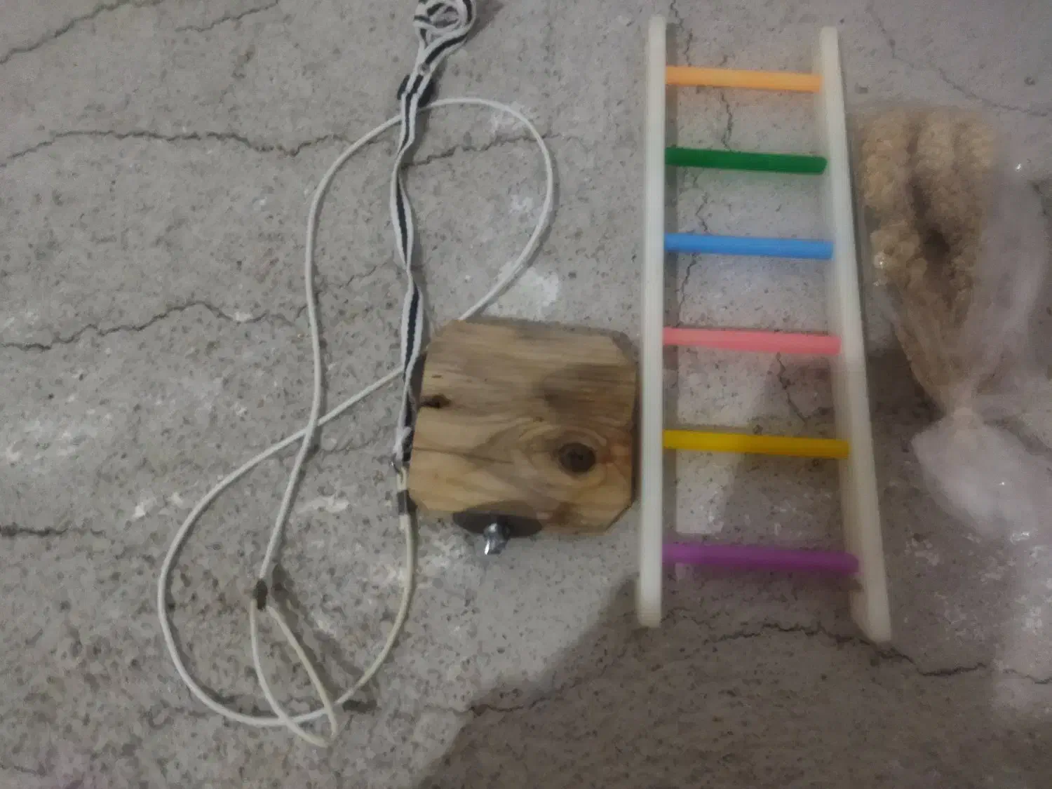 وسایل پرنده کاملا سالم|لوازم جانبی حیوانات|بوکان, |دیوار