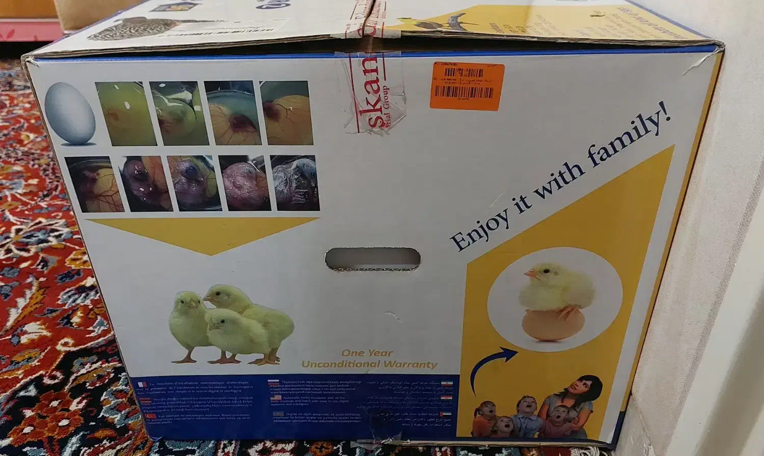 دستگاه جوجه کشی ۹۶ عددی ایزی باتور ۲|لوازم جانبی حیوانات|شیراز, عادل آباد|دیوار