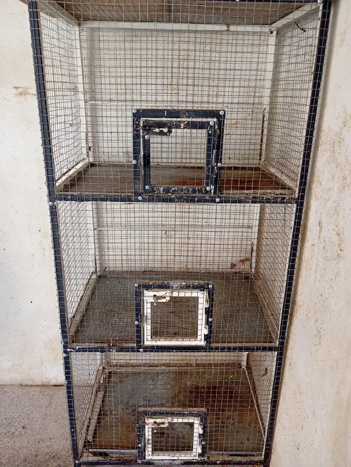 قفس جفتگاه پرنده|لوازم جانبی حیوانات|جهرم, |دیوار