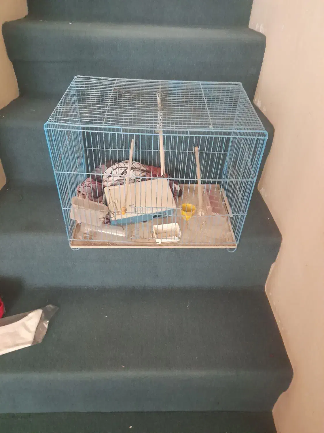 قفس با وسیله اش|لوازم جانبی حیوانات|تهران, فرزانه|دیوار