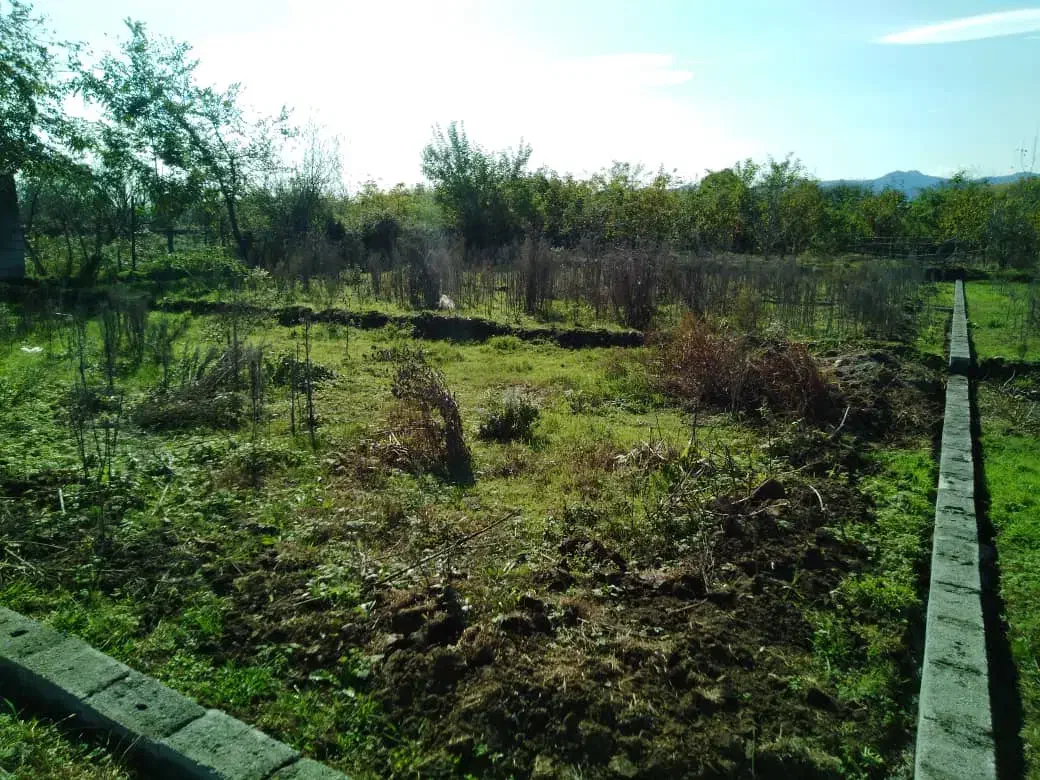 زمین با قطعات تفکیکی جنب سواحل زیبای گیسوم|فروش زمین و ملک کلنگی|پره‌سر, |دیوار