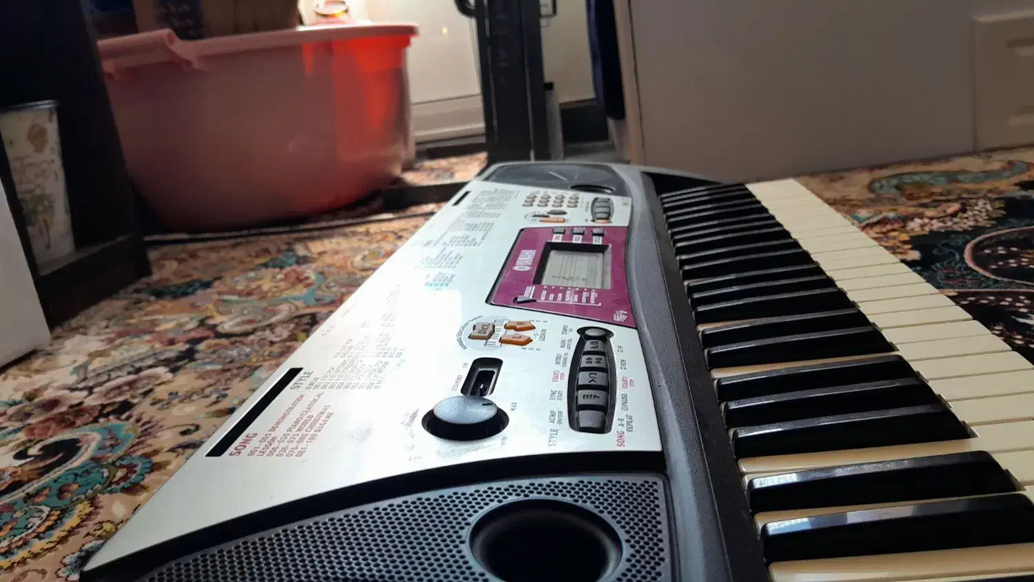 ارگ|پیانو، کیبورد، آکاردئون|قیدار, |دیوار