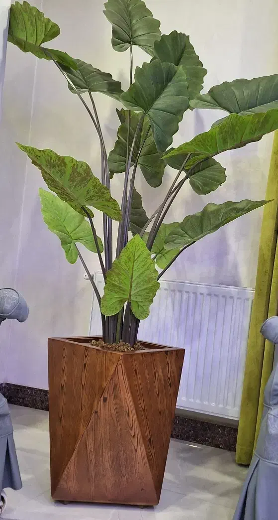 گل مصنوعی|گل مصنوعی|نسیم‌شهر, |دیوار