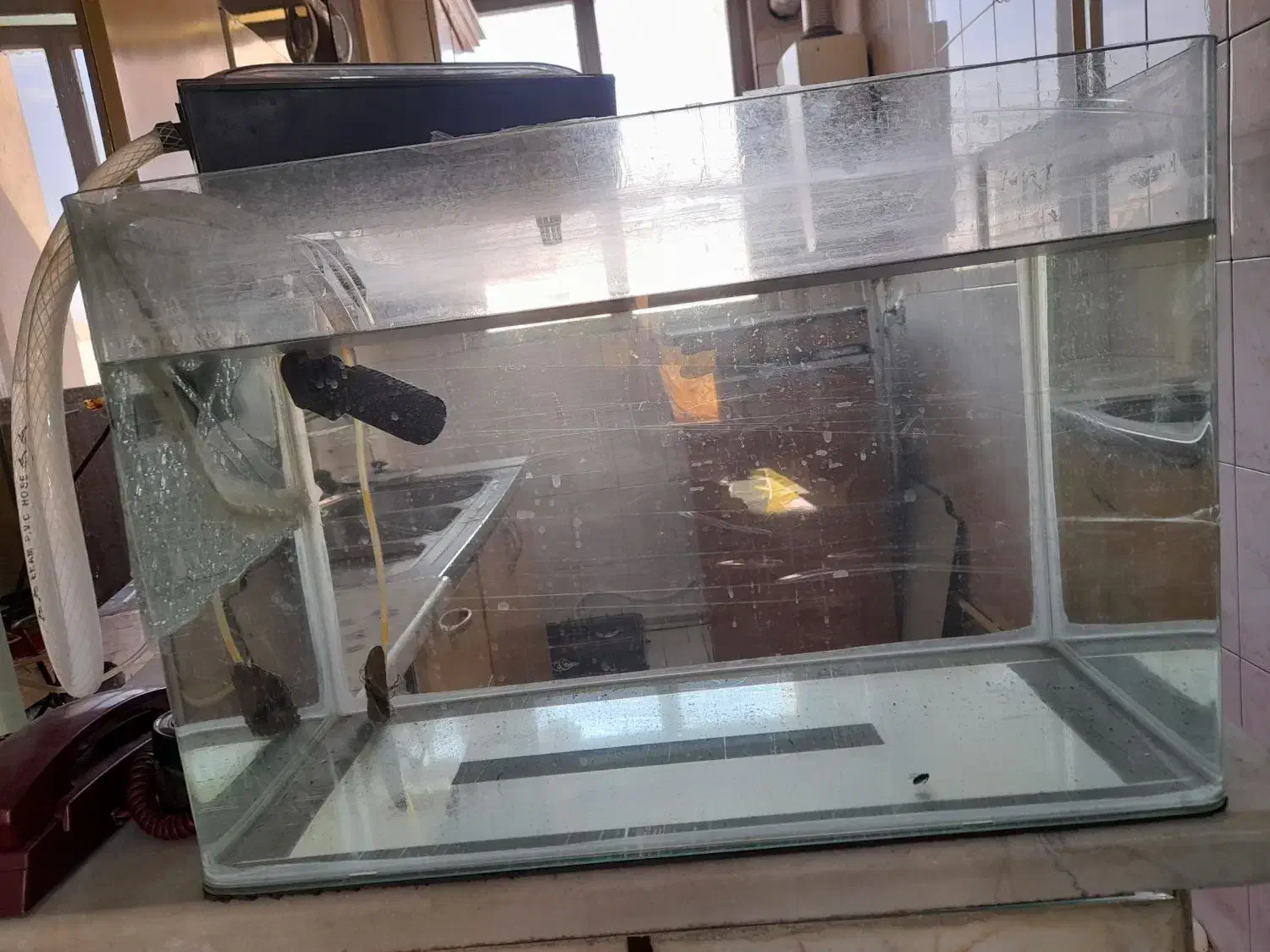 دو عدد اکواریوم|ماهی|تهران, سلیمانی|دیوار