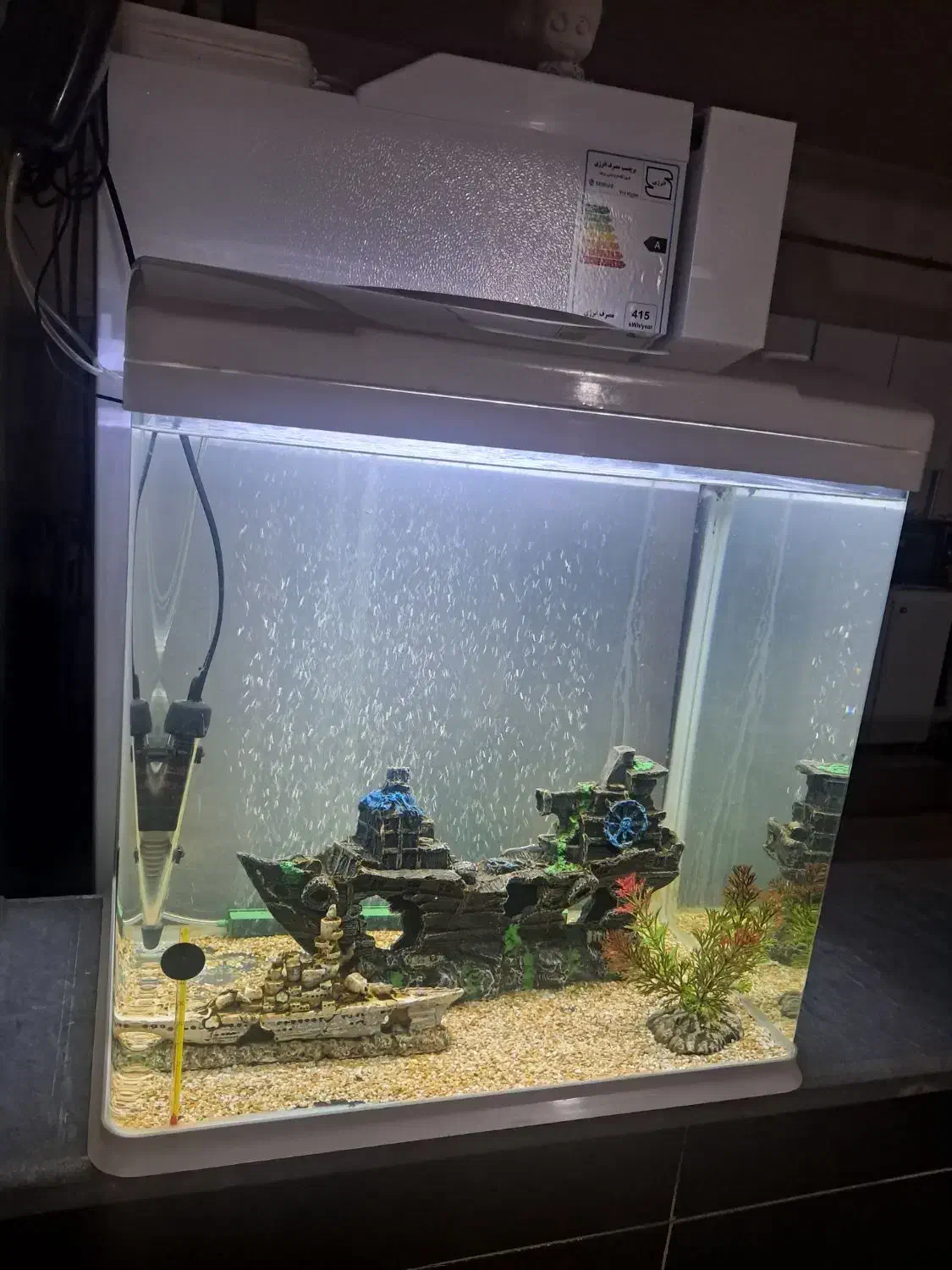 آکواریم شیشه خم|ماهی|مریوان, |دیوار