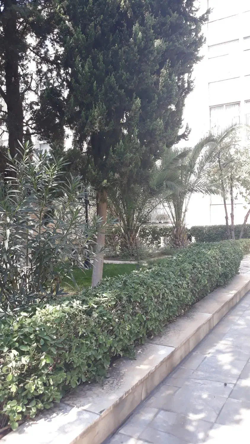 107متر دو خواب میرداماد|فروش آپارتمان|تهران, میرداماد|دیوار