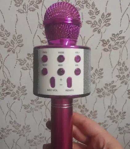 میکروفون|صوتی و تصویری|علیآباد کتول, |دیوار