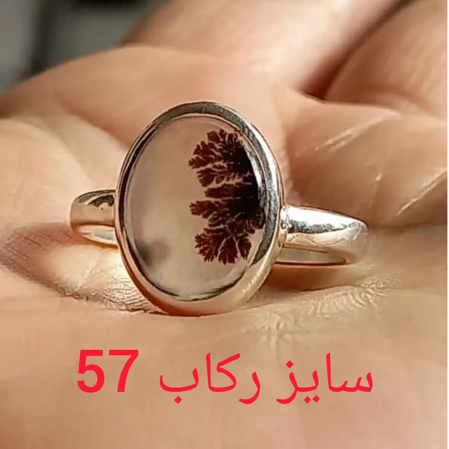 شجر فانتزی اسپرت زنانه و مردانه|جواهرات|زنجان, |دیوار