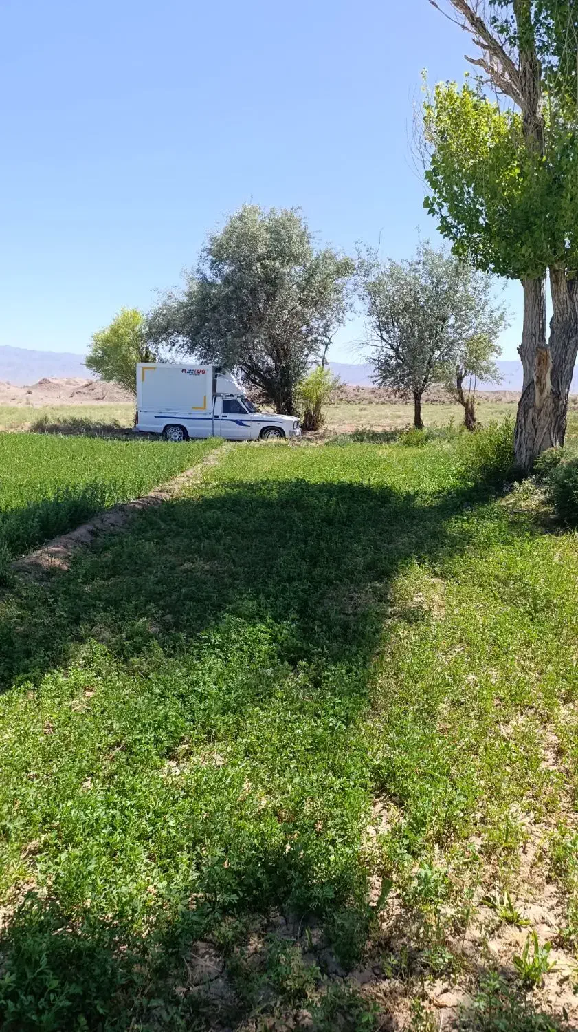 مزدایخچالدار دارم برای ااجاره شرکتها وداروپخش|خودرو اجارهای|بافت, |دیوار