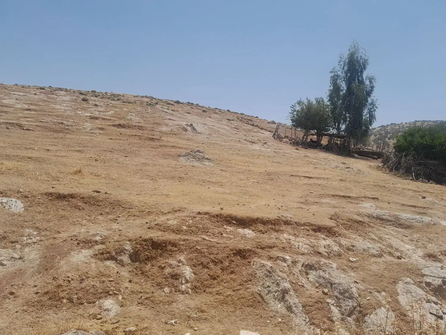 زمین شیروان|فروش زمین و ملک کلنگی|سیروان, |دیوار