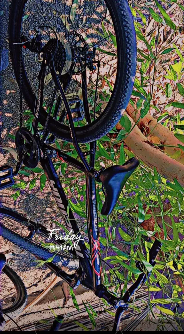 ....|دوچرخه، اسکیت، اسکوتر|حاجی آباد, |دیوار