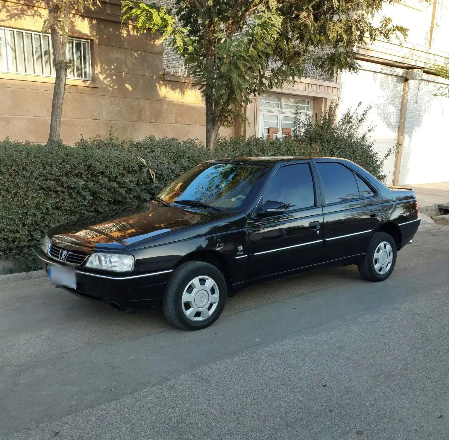 405slxtu5دریچه سیمی درحد صفر|خودرو سواری و وانت|تربتحیدریه, کلاته توکلی|دیوار