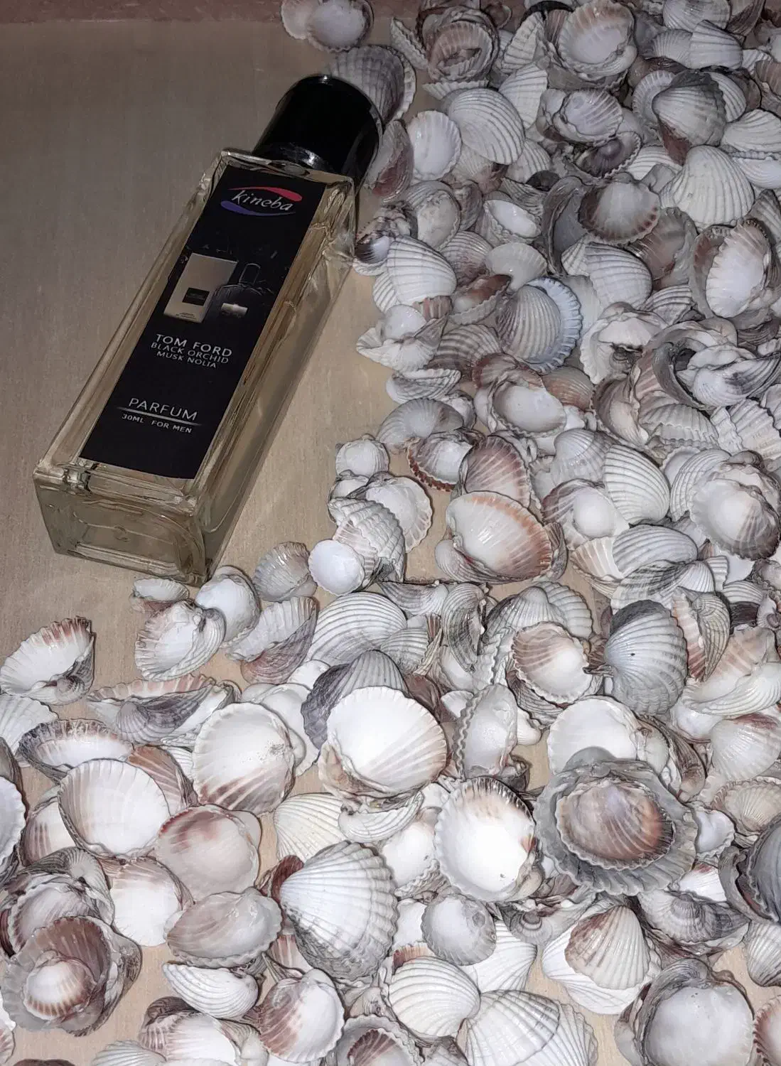 عطر|آرایشی، بهداشتی، درمانی|رامسر, |دیوار