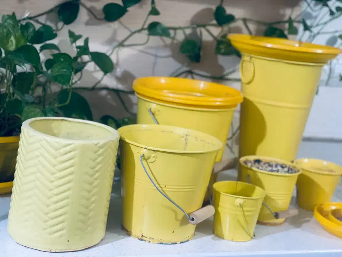 گلدان فلزی|گل و گیاه طبیعی|تهران, یافت آباد جنوبی|دیوار