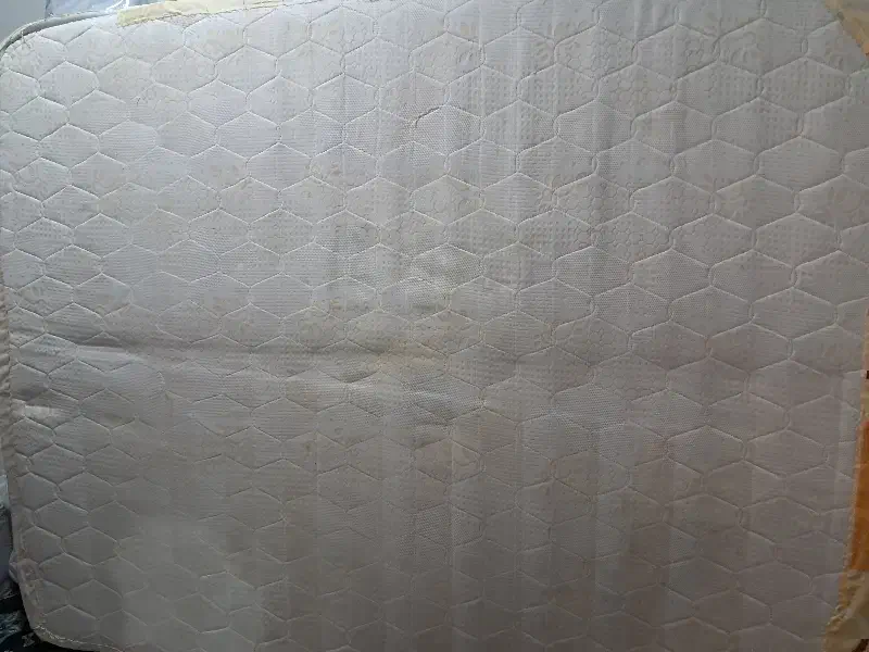 تشک بدون فنر دو نفره|تشک تختخواب|سبزوار, ولیعصر (نجار آباد)|دیوار