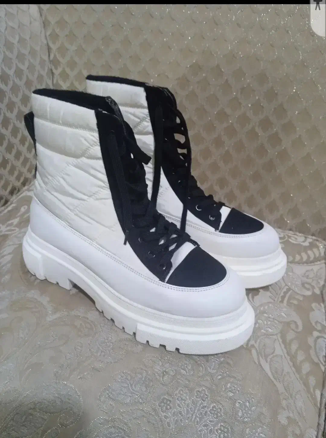 کفش|کیف، کفش، کمربند|مشهد, رده|دیوار