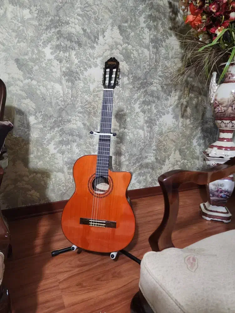 گیتار واشبرن|گیتار، بیس، امپلیفایر|چابکسر, |دیوار