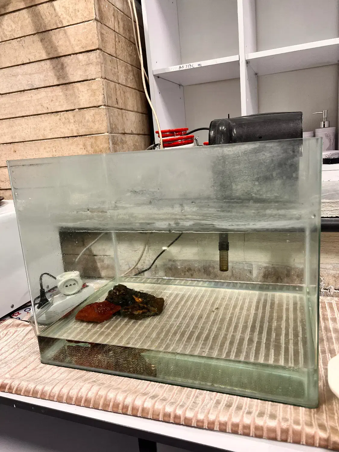 آکواریوم و تصویه آب|ماهی|تهران, جنت‌آباد مرکزی|دیوار