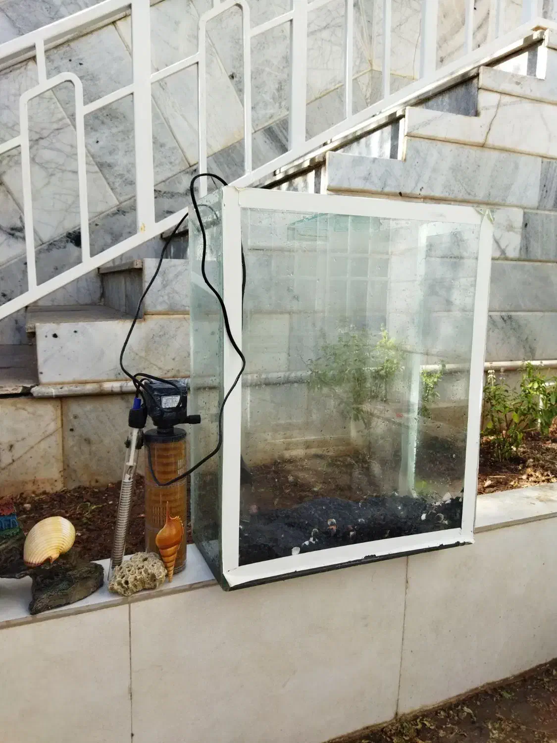 آکواریوم|ماهی|تربت‌حیدریه, ۴۵ متری|دیوار