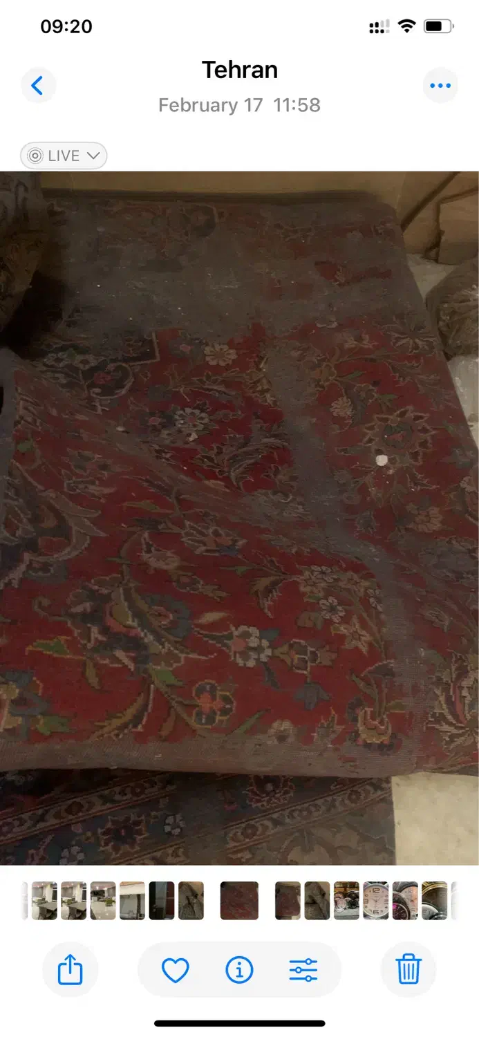 فرش دستباف|فرش|تهران, قبا|دیوار