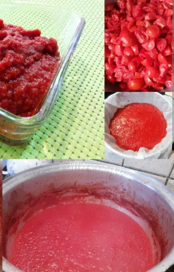 رب گوجه خانگی|خوردنی و آشامیدنی|رشت, جهاد|دیوار