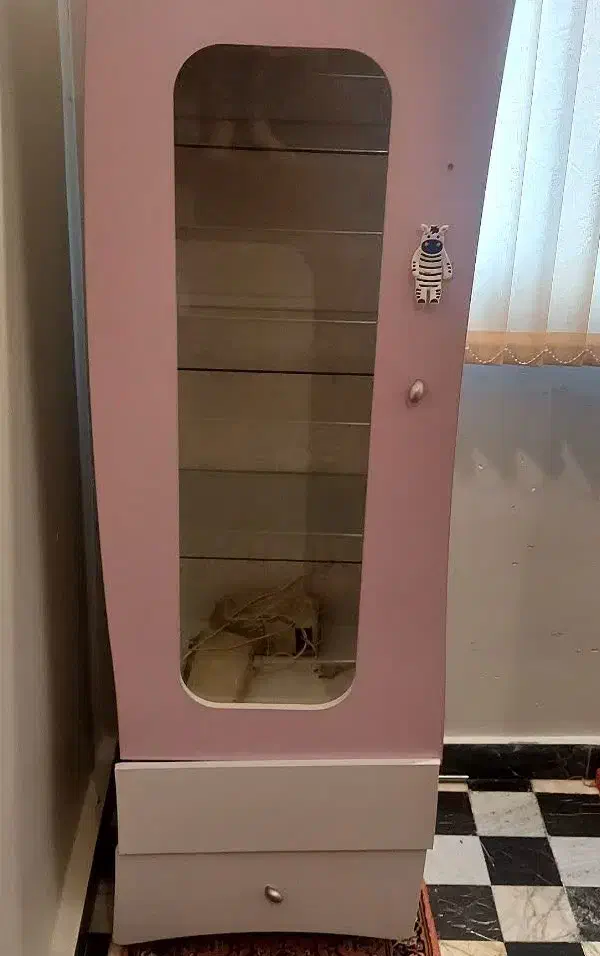 کمد دخترانه|جاکفشی، کمد، دراور|تبریز, |دیوار