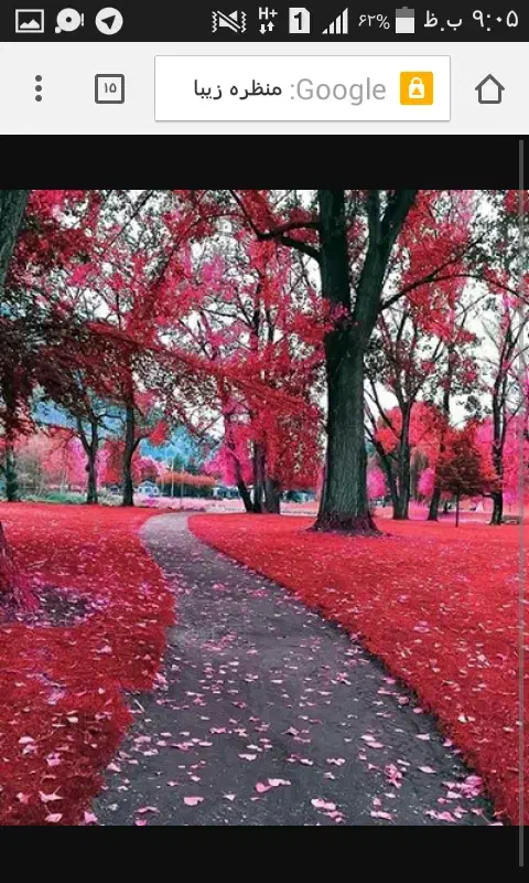 اجاره منزل مبله به صورت ساعتی و روزانه|اجارهٔ کوتاه‌مدت آپارتمان و سوئیت|شیراز, انجیر|دیوار