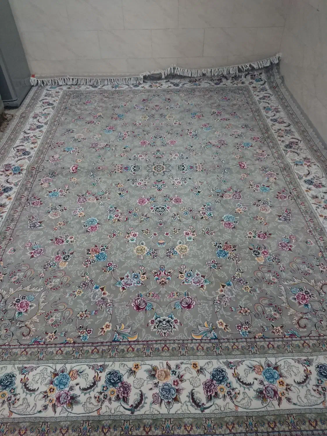 فرش 12 متری|فرش|یزد, |دیوار