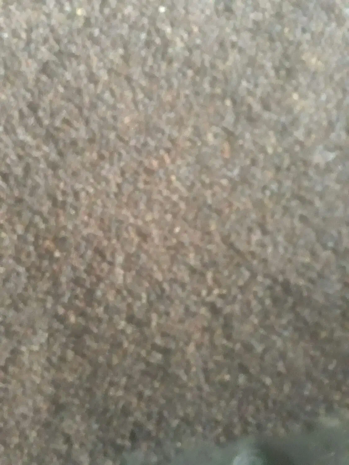 کشمش|خوردنی و آشامیدنی|بناب, |دیوار