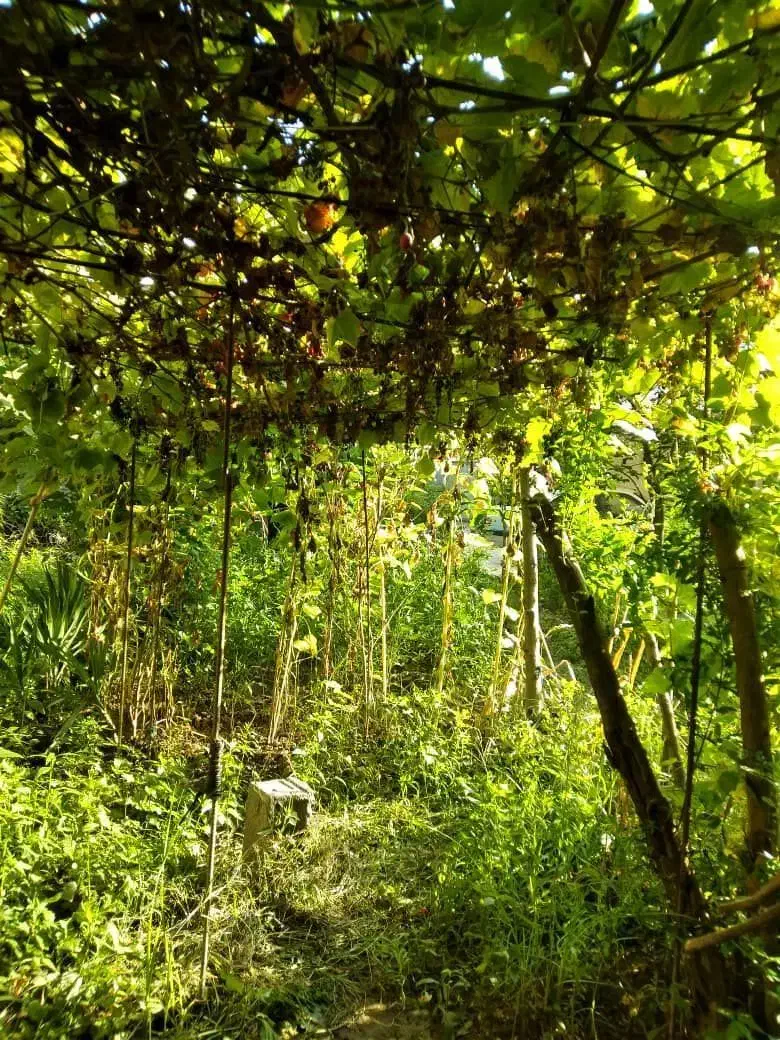 فروش ویلا مسکونی دارای سند تک برگ|فروش خانه و ویلا|رشت, حومه رشت|دیوار