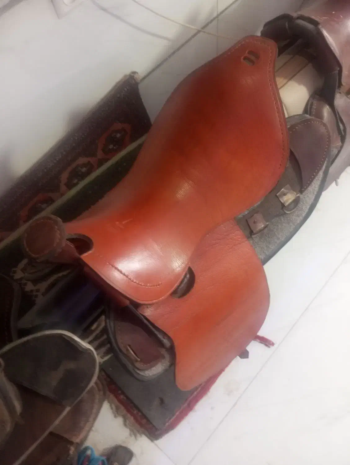 تجهیزات اسب|اسب و تجهیزات اسب‌سواری|صفادشت, |دیوار