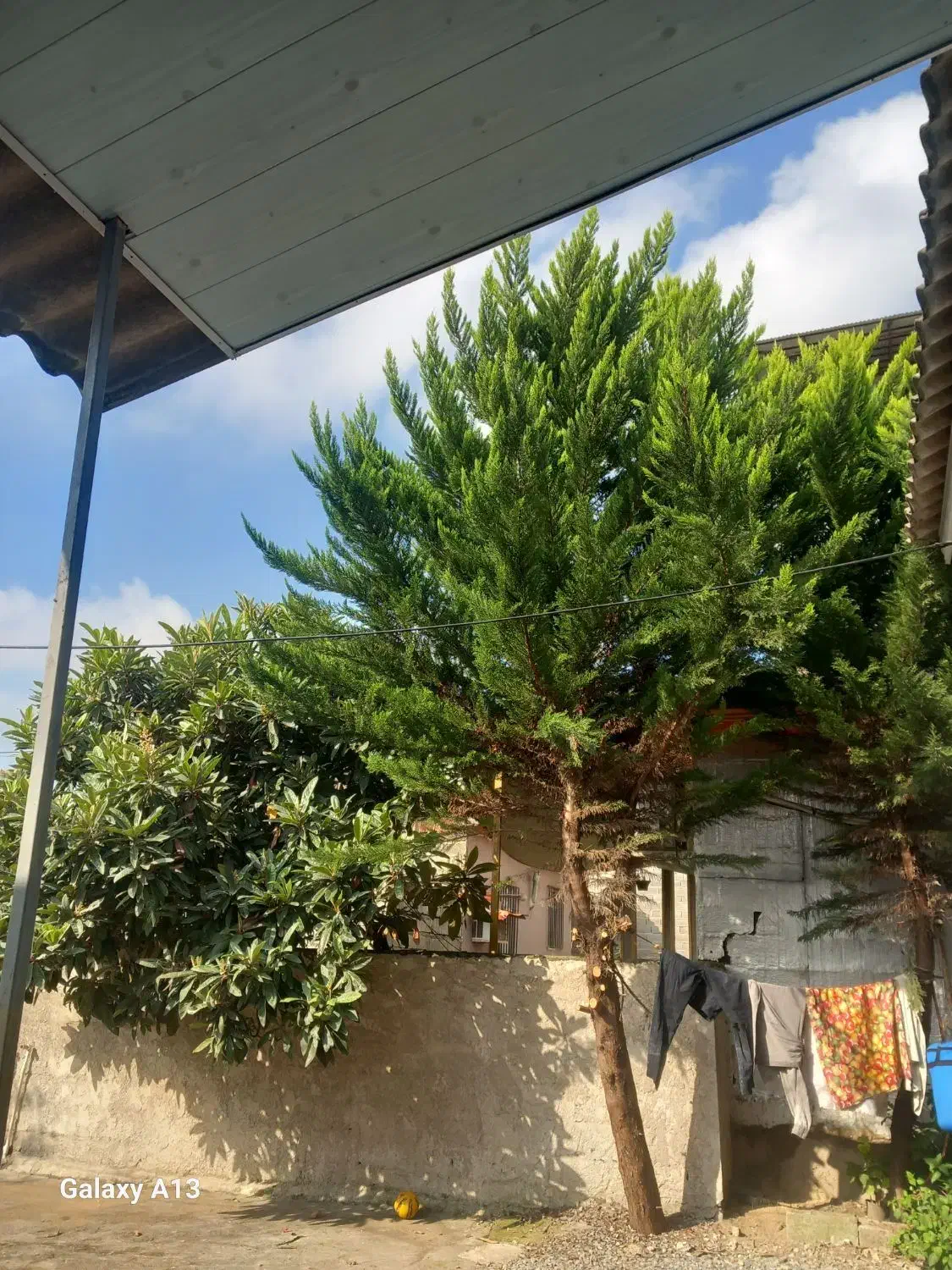 نظافت منزل|خدمات نظافت|چمستان, |دیوار