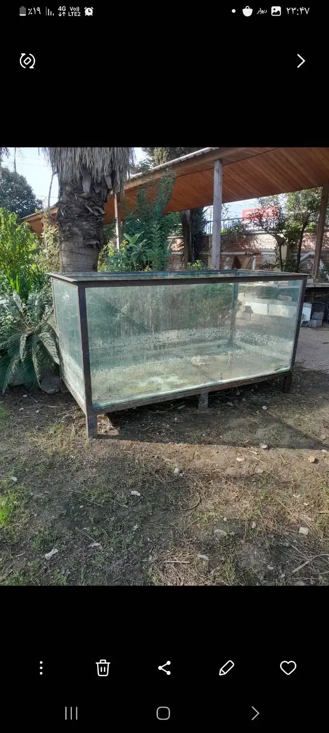 فروش آکواریوم|ماهی|چالوس, |دیوار