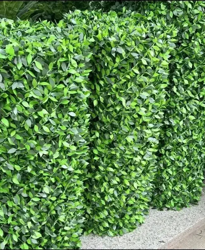 فنس چمنی|حراج|مریوان, |دیوار