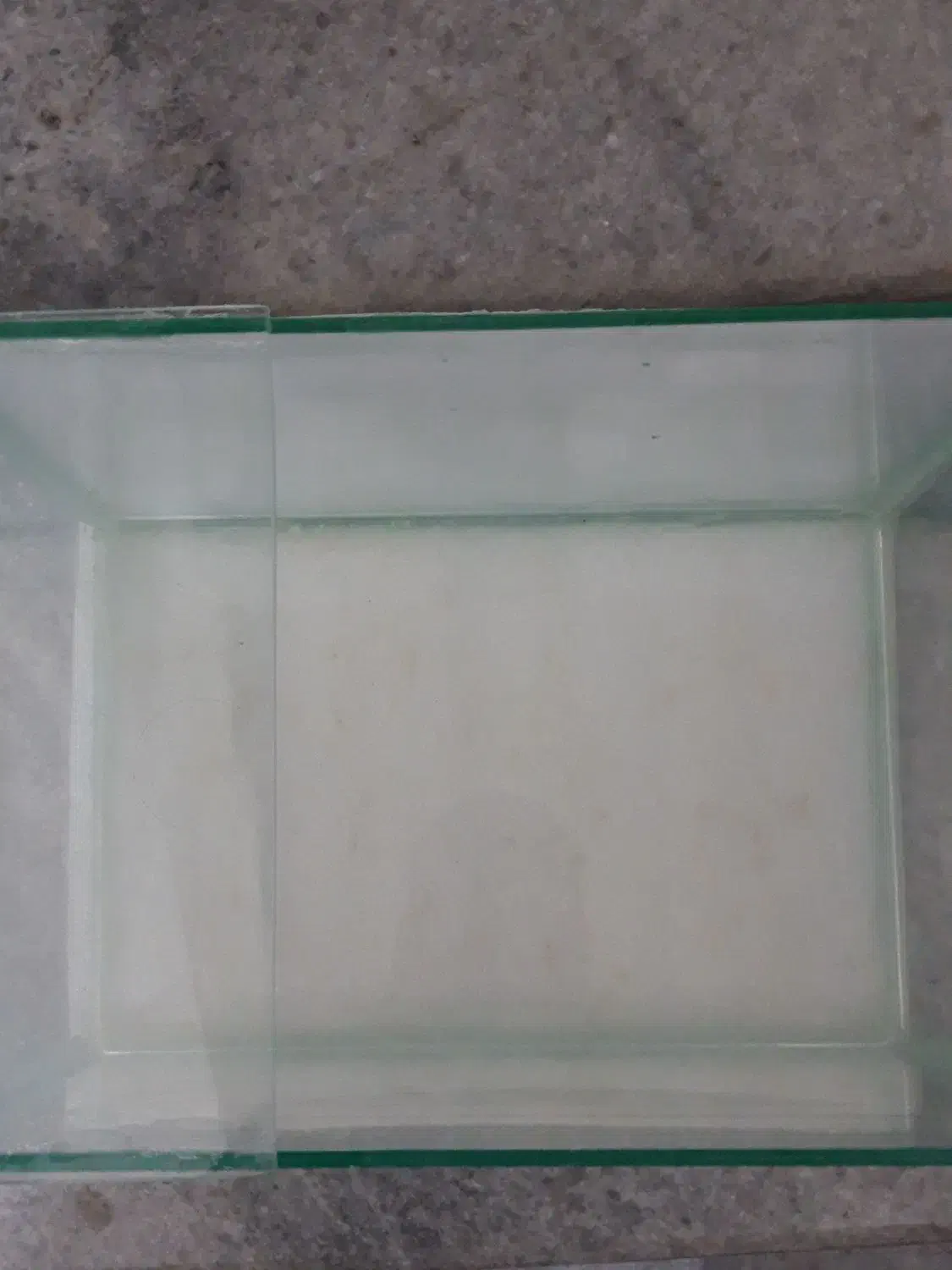 اکواریوم|ماهی|سنندج, |دیوار