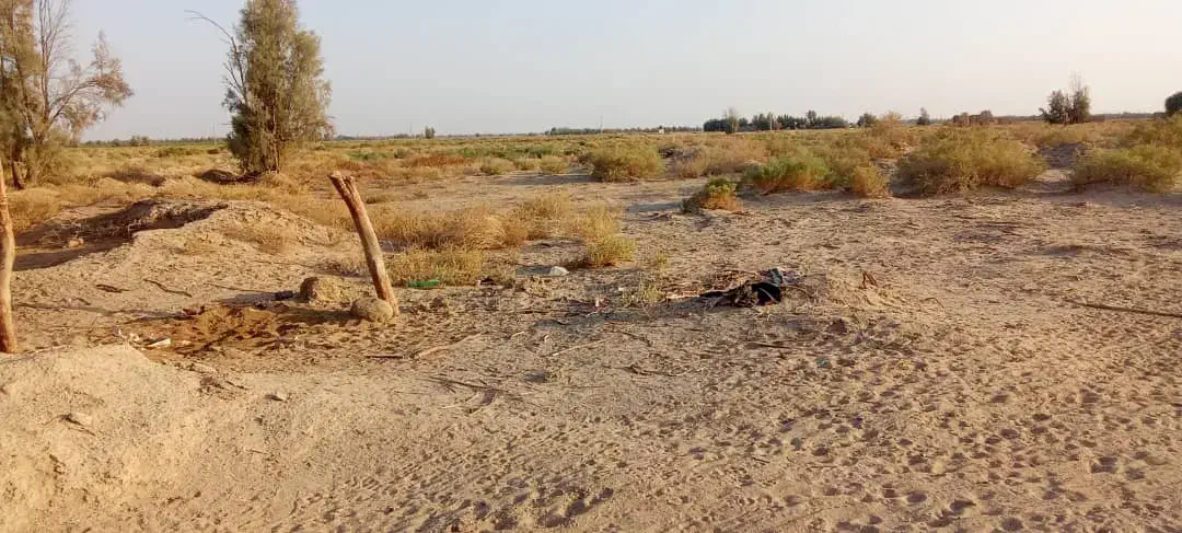 زمین کشاورزی|اجارهٔ دفتر صنعتی، کشاورزی، تجاری|بزمان, |دیوار