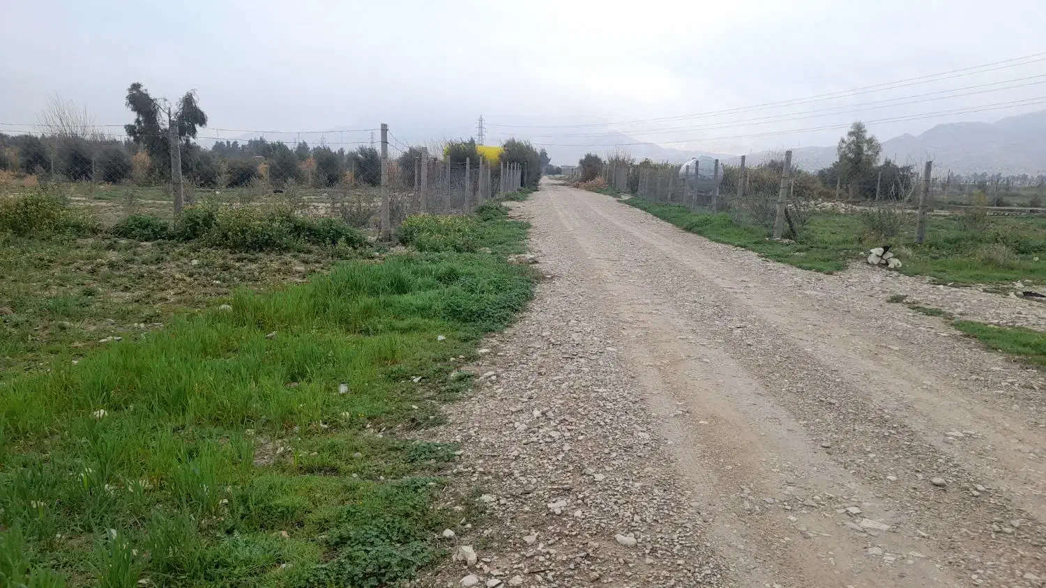 زمین باغ روستای ریکا|فروش زمین و ملک کلنگی|ایلام, |دیوار