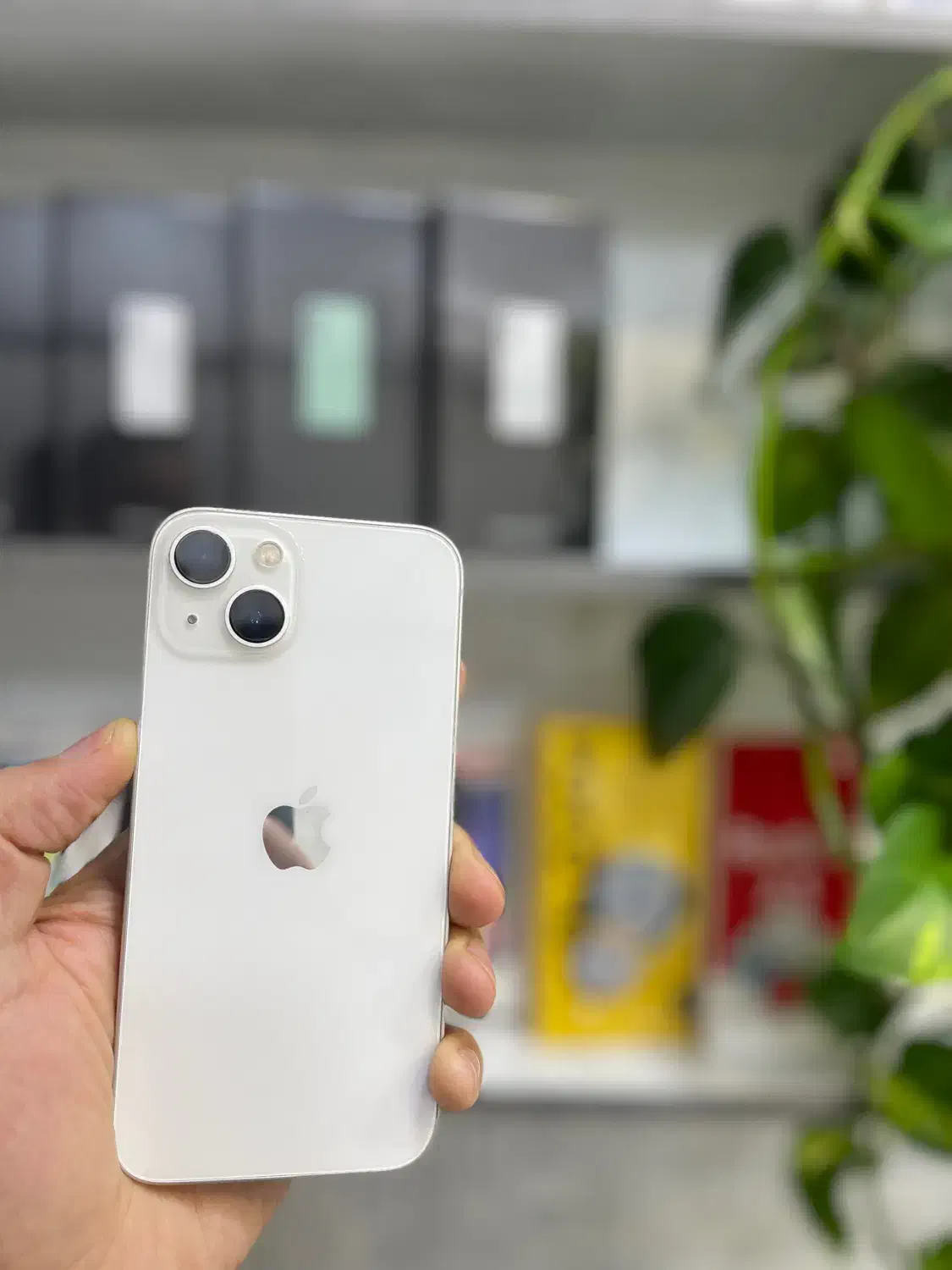 آیفون ۱۳ نرمال|موبایل|تبریز, |دیوار