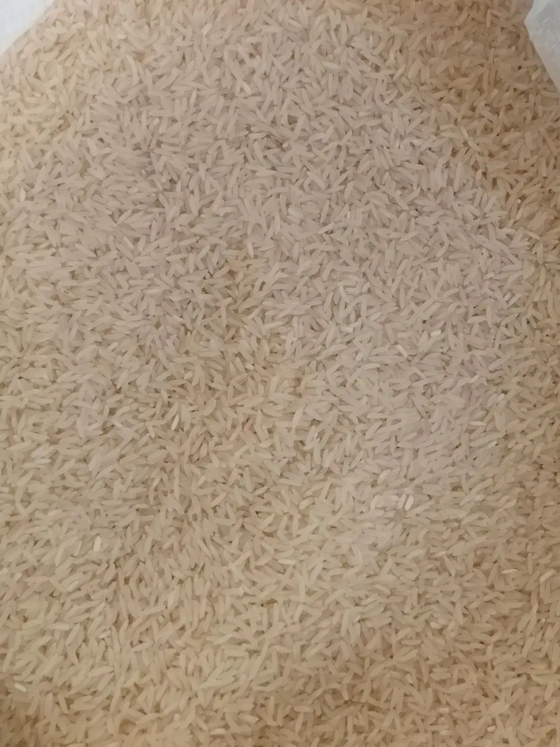 برنج فجر خوش پخت|خوردنی و آشامیدنی|گنبد کاووس, |دیوار