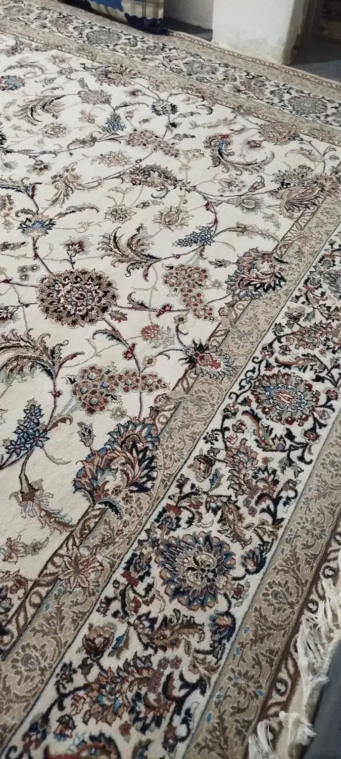 قالی ۱۲ متری   فروش فوری|فرش|تربت جام, معدآباد|دیوار