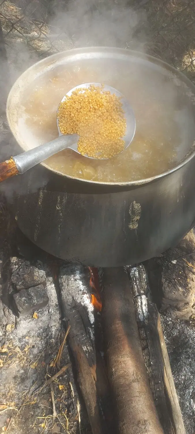 بلغور|خوردنی و آشامیدنی|بناب, |دیوار