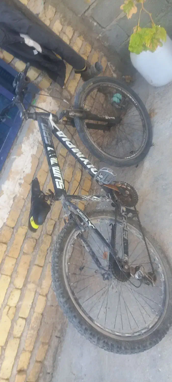 دوچرخه سالم|دوچرخه، اسکیت، اسکوتر|خفر, |دیوار